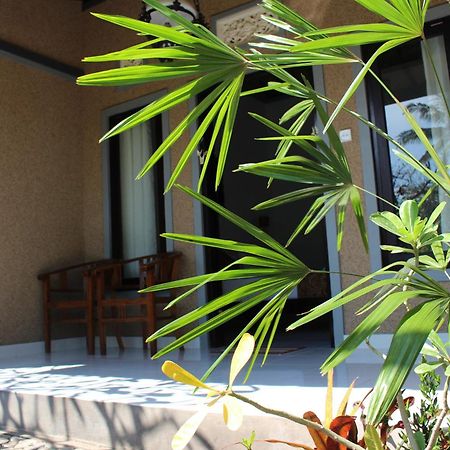 Magus Homestay Pemuteran  Bilik gambar